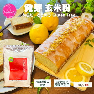 茺ĕy500g ×1܁z| Ǘh{mďC ͔|Ԓ _sgp R͔| N Y Y  Oet[ P[L ~bNX NHi  ĕ  ͕ ͕ p َq _C