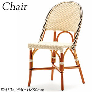 ダイニングチェア ラウンジチェア リフレッシュチェア カフェチェア ガーデンチェア ポリエチレン アルミ AP-0097