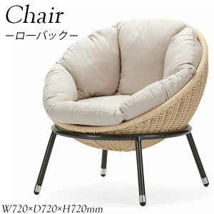 `FA ֎q [obN^Cv EW`FA[ p[\i`FA 72cm A~ |G` z AP-0114