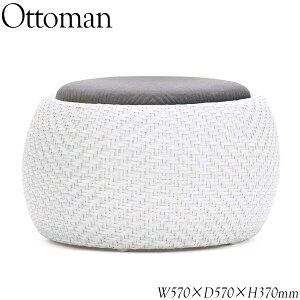Ibg} Op`FA ֎q u r[`FA ی^ Eh 57cm s57cm A~ AP-0173