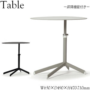 K[fe[u ~e[u TChe[u JtFe[u 65cm s49cm A~ AP-0190