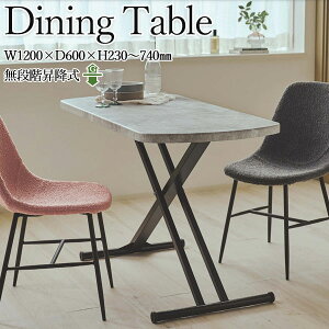 yz _CjOe[u ~e[u  Z^[e[u [e[u ȉ~^ 120cm s60cm KX㉺ iK~ Zg PVC CH-0703