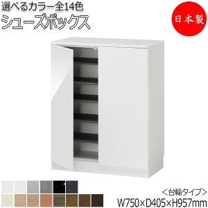 yT[rXtz y{z V[Y{bNX ʔ C Ԏ[ փ^Cv J J [^Cv It Y  75cm FZ-0081