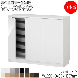 yT[rXtz y{z V[Y{bNX ʔ C Ԏ[ փ^Cv J J [^Cv It Y  120cm FZ-0082