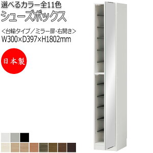 【室内搬入サービス付】 【日本製】 シューズボックス 下駄箱 靴入れ 隙間収納 台輪タイプ 開き戸 右開き ミラー扉タイプ 可動棚付 国産 定尺 幅30cm FZ-0086