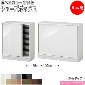 yT[rXtz y{z V[Y{bNX ʔ C Ԏ[ փ^Cv  XCh [^Cv It Y TCYI[_[ FZ-0100