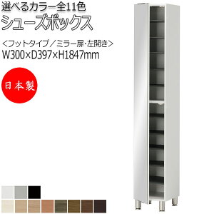 【室内搬入サービス付】 【日本製】 シューズボックス 下駄箱 靴入れ 隙間収納 フットタイプ 開き戸 左開き ミラー扉タイプ 可動棚付 国産 定尺 幅30cm FZ-0107