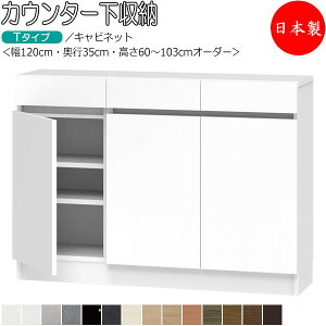 yT[rXtz yz y{z JE^[[ ܎[ JV[Y 120cm s35cm Lrlbg ot Y TCYI[_[ FZ-0128