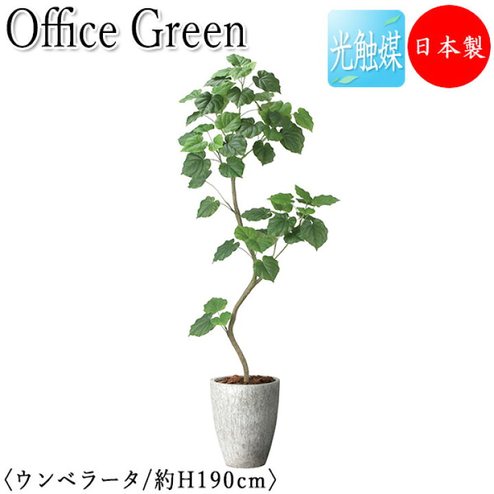 楽天市場】【送料無料】 【日本製/業務用】 フェイクグリーン 