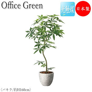 yz tFCNO[ ItBXO[ lHA lH G} A u^ 160cm ݂ǂ  bNX pL GF-0002