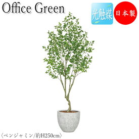 フェイクグリーン オフィスグリーン 人工植物 人工樹木 光触媒 鉢植え 床置き型 高さ約250cm みどり 緑 リラックス ベンジャミン GF-0005