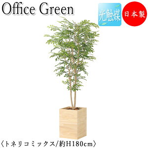 yz y{/Ɩpz tFCNO[ glR ItBXO[ G} lHϗtA lH  A u^ 180cm VR  ItBXΉ GF-0006