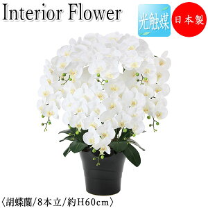 yz y{/Ɩpz tFCNt[ Ӓ CeAt[ ItBXO[ G} lHϗtA  A ^ 75cm 8{ zCg ItBXΉ GF-0014