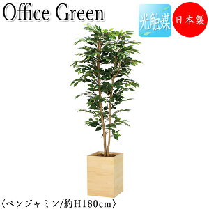 yz y{/Ɩpz tFCNO[ xW~ ItBXO[ G} lHϗtA lH  A u^ 180cm VR  ItBXΉ GF-0020