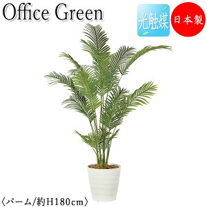 yz y{/Ɩpz tFCNO[ p[ ItBXO[ G} lHϗtA lH  A u^ 180cm  ItBXΉ GF-0025