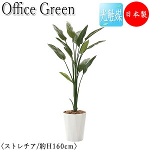 yz y{/Ɩpz tFCNO[ Xg`A ItBXO[ G} lHϗtA lH  A u^ 160cm  ItBXΉ GF-0026