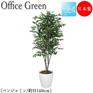 yz y{/Ɩpz tFCNO[ xW~ ItBXO[ G} lHϗtA lH  A u^ 160cm VR  ItBXΉ GF-0028