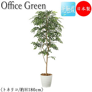 yz y{/Ɩpz tFCNO[ glR ItBXO[ G} lHϗtA lH  A u^ 180cm VR  ItBXΉ GF-0030