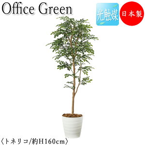 yz y{/Ɩpz tFCNO[ glR ItBXO[ G} lHϗtA lH  A u^ 160cm VR  ItBXΉ GF-0031