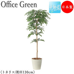 yz y{/Ɩpz tFCNO[ glR ItBXO[ G} lHϗtA lH  A u^ 130cm VR  ItBXΉ GF-0032