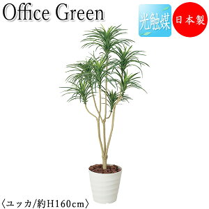 yz y{/Ɩpz tFCNO[ bJ ItBXO[ G} lHϗtA lH  A u^ 160cm  ItBXΉ GF-0033