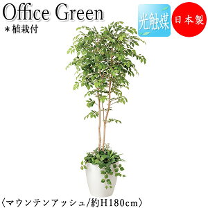 yz y{/Ɩpz tFCNO[ }EeAbV A͕t ItBXO[ G} lHϗtA lH  A u^ 180cm VR ItBXΉ GF-0034