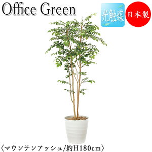 yz y{/Ɩpz tFCNO[ }EeAbV ItBXO[ G} lHϗtA lH  A u^ 180cm VR ItBXΉ GF-0035