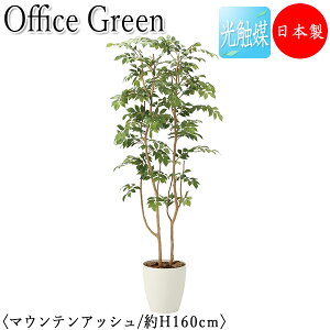 yz y{/Ɩpz tFCNO[ }EeAbV ItBXO[ G} lHϗtA lH  A u^ 160cm VR ItBXΉ GF-0036