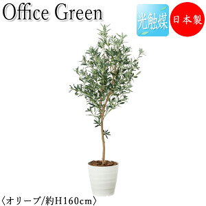 yz y{/Ɩpz tFCNO[ I[u ItBXO[ G} lHϗtA lH  A u^ 160cm VR  ItBXΉ GF-0038