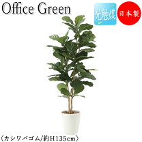 楽天市場】フェイクグリーン カシワバゴムの通販