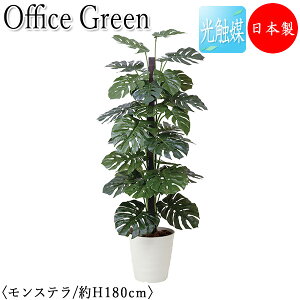 yz y{/Ɩpz tFCNO[ Xe ItBXO[ G} lHϗtA lH  A u^ 180cm VR  ItBXΉ GF-0040