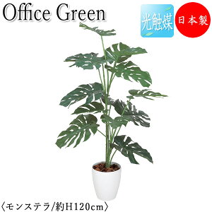 yz y{/Ɩpz tFCNO[ Xe ItBXO[ G} lHϗtA lH  A u^ 120cm  ItBXΉ GF-0041