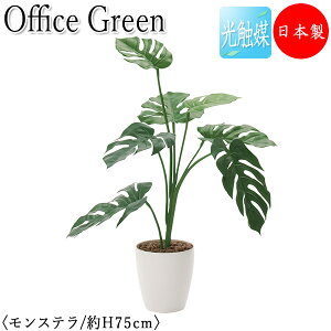 yz y{/Ɩpz tFCNO[ Xe ItBXO[ G} lHϗtA lH  A u^ 75cm  ItBXΉ GF-0043