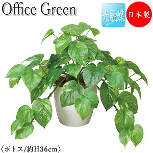 yz y{/Ɩpz tFCNO[ |gX ItBXO[ G} lHϗtA lH  A ^ fXN^Cv 36cm  ItBXΉ GF-0044