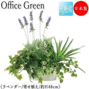 yz y{/Ɩpz tFCNO[ x_[ ItBXO[ G} lHϗtA lH  A ^ fXN^Cv 48cm  ItBXΉ GF-0045