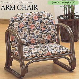 �y���������z �A�[���`�F�A�[ �֎q �����֎q �����֎q ���[�^�C�v ��55 ���s47 ����50cm ���^���Ƌ� �ىƋ� �V�R�f�� IS-0489