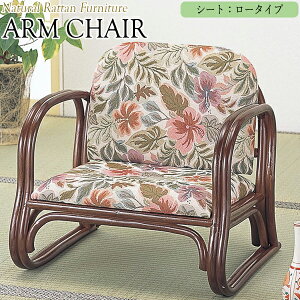 �y���������z �A�[���`�F�A�[ �֎q �����֎q �����֎q ���[�^�C�v ��55 ���s47 ����50cm ���^���Ƌ� �ىƋ� �V�R�f�� IS-0492