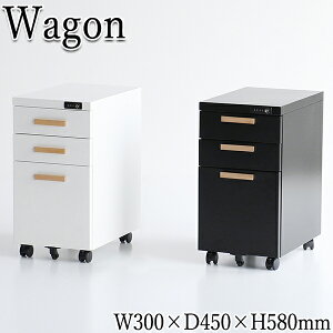 yz yƖpz S TChS 30cm s45cm 58cm 3i o t _C LX^[t Xgbp[t X`[ VR ubN zCg IT-0095