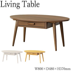 yz Z^[e[u [e[u R[q[e[u rOe[u  ȉ~ ot [ 80cm s48cm ؖڒ uE zCg IW-0015