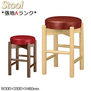 y@lz yƖpz Xc[ ҍCX _CjO`FA ֎q ؐ֎q ~^ o[Ebh nAN i` _[NuE _ MA-0522