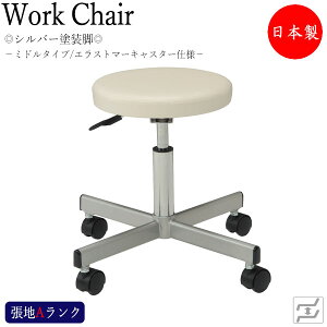 Xc[ Ɨp`FA [N`FA ۈ֎q f@CX KX~ ] X`[r GXg}[LX^[dl MT-0342