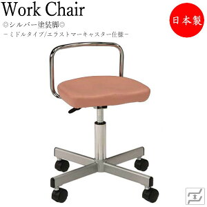 Xc[ Ɨp`FA [N`FA fBJ`FA KX~ [h wt GXg}[LX^[dl MT-0813