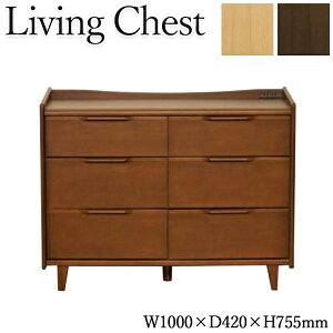 yz `FXg o ߗރ^X [ [Ƌ 100cm i` uE NK-0090