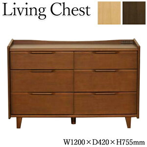 yz `FXg o ߗރ^X [ [Ƌ 120cm i` uE NK-0091