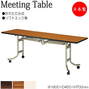 y@lz y{/Ɩpz ܏e[u tCge[u ItBXe[u 180cm s45cm \tgGbW ~ϔ ؖ  NS-0755