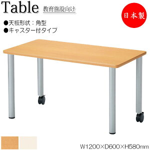 y@lz y{/Ɩpz ƃe[u Ɗ [NfXN 120cm s60cm 58cm LX^[t p^ ~ϔ ؖ  AC{[ NS-2195