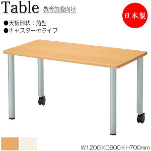 y@lz y{/Ɩpz ƃe[u Ɗ [NfXN 120cm s60cm 70cm LX^[t p^ ~ϔ ؖ  AC{[ NS-2203