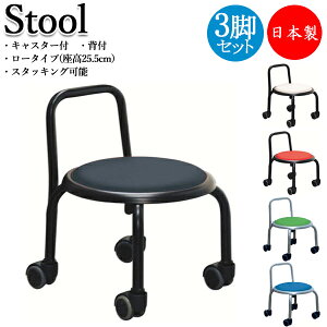 yz y{/Ɩpz 3rZbg Xc[ Ɨp`FA[ [N`FA ⏕֎q 25cm wt LX^[t ubN zCg bh O[ u[ RS-0041