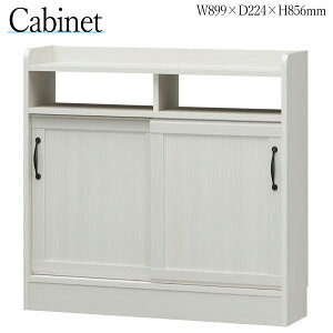 yz ^ Lrlbg `FXg bN rO{[h [ ˃^Cv X RpNg ȃXy[X s22cm ؐ ؖڒ zCg F SR-0316