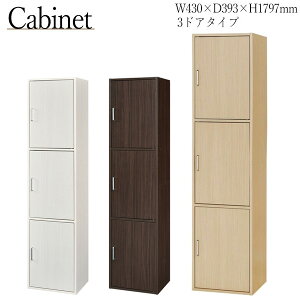 yz Lrlbg 13i^Cv t bJ[ I [{bNX [P[X ړII }`[ 43cm i` zCg _[NuE SR-0448